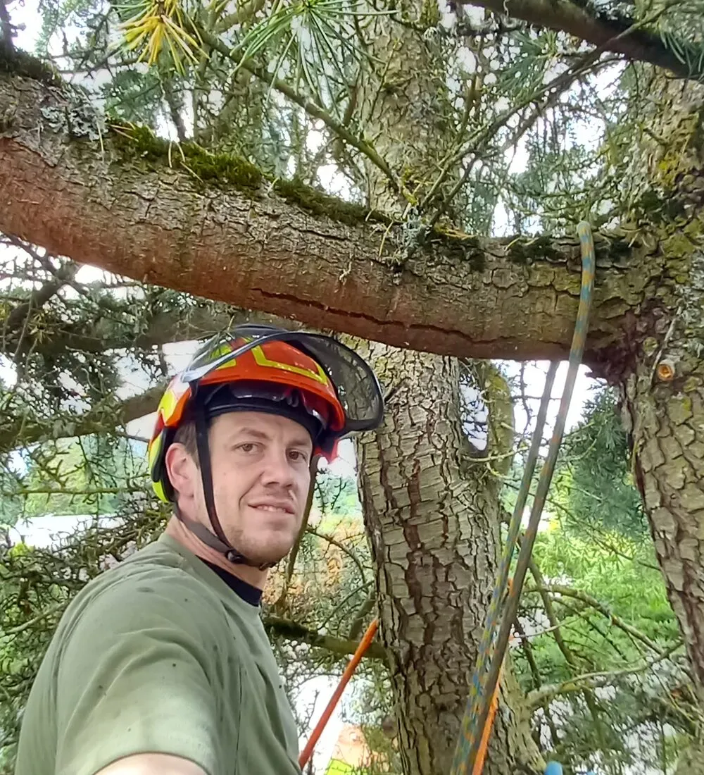 A Priority Tree Service arborist climbing high in a tree in Clark County, WA