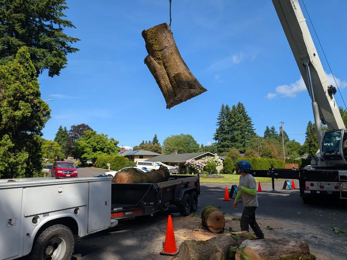 Crane-Assisted Removal in Clark County by Priority Tree Service