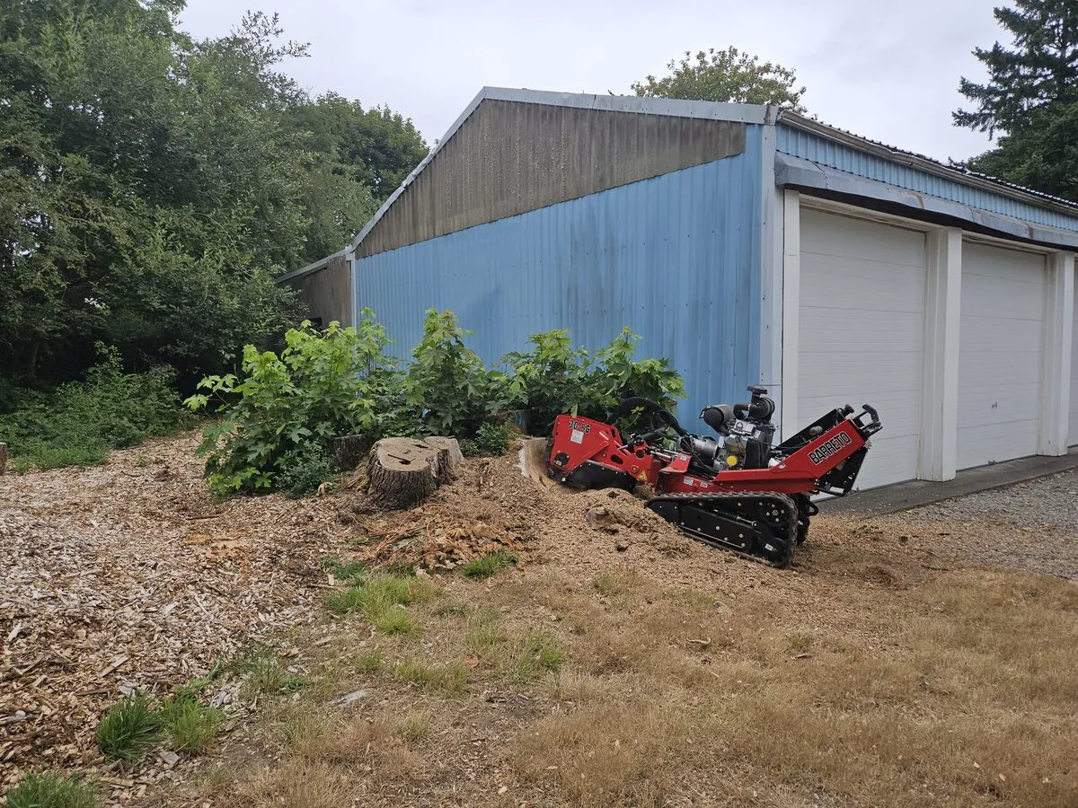 Stump Grinding in Clark County by Priority Tree Service