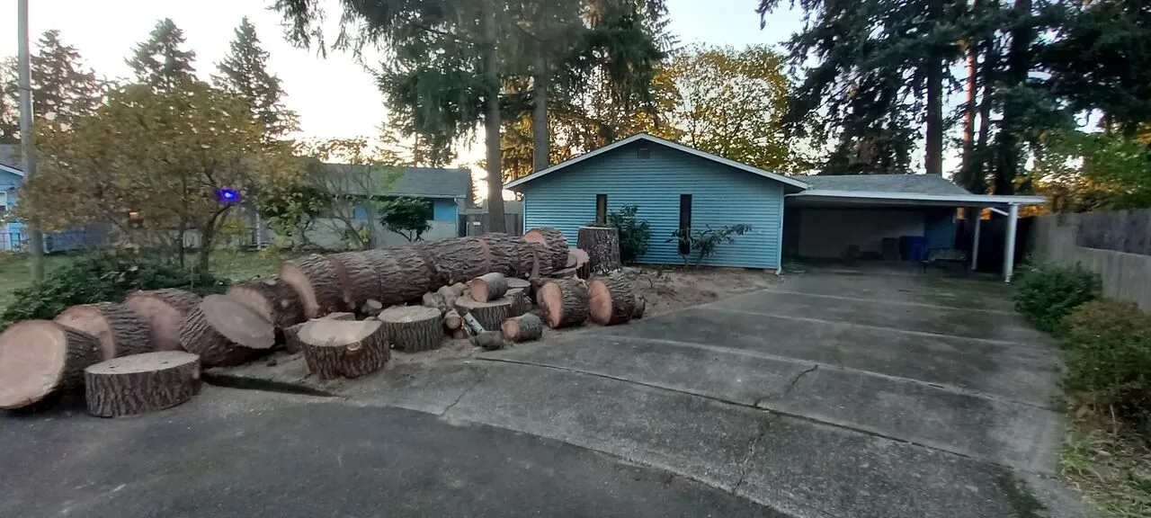Large fir logs cut into rounds beside a driveway after tree removal in Camas, WA