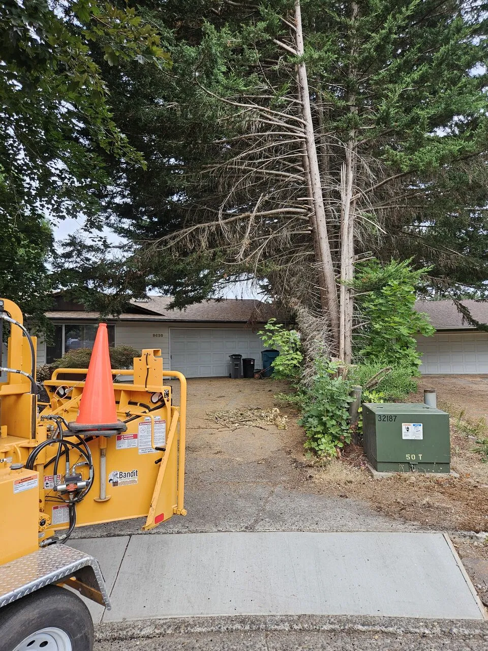 Wood chipper staged in a driveway beside a dying tree set for removal in Camas, WA