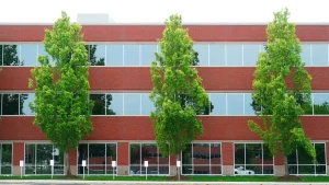 Priority Tree Service Office Building Maintenance