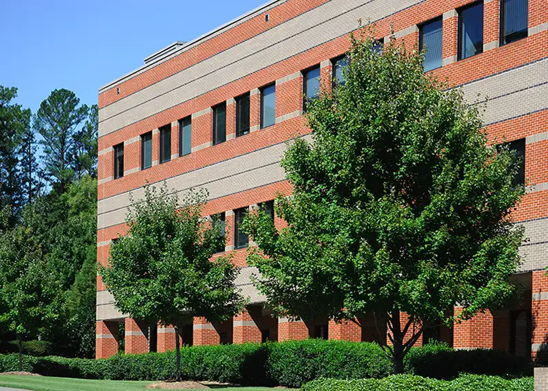 Priority Tree Service Office Building Maintenance